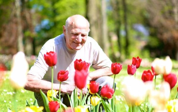 elderly man looking at garden flowers