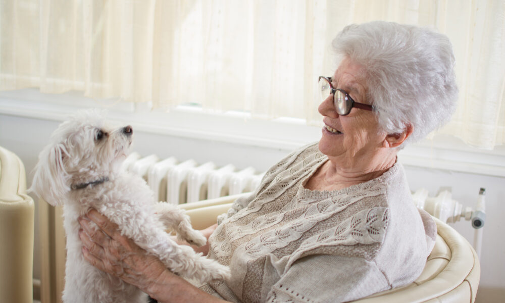 pet therapy for dementia patients
